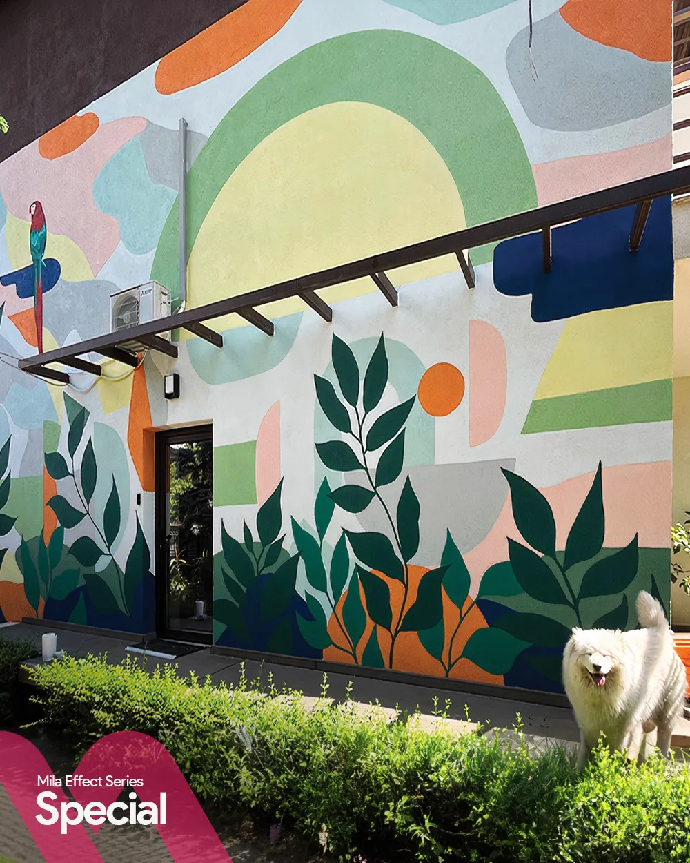 Dış Mekan Duvar Resimleri ve Mural Sanatı